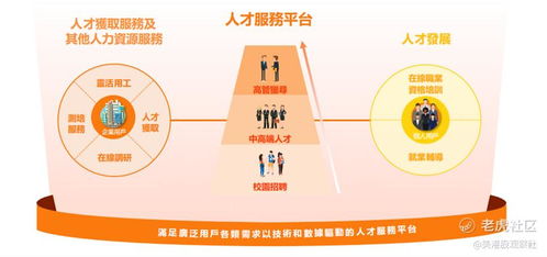 獵聘上半年高速增長,橫縱發展彰顯長期空間