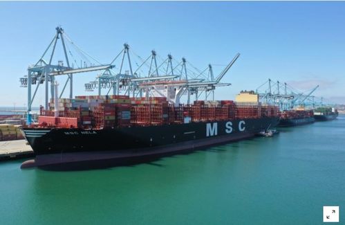 美國9月商品貿(mào)易逆差大幅縮窄，第三季創(chuàng)紀錄增長預(yù)期提振貿(mào)易前景